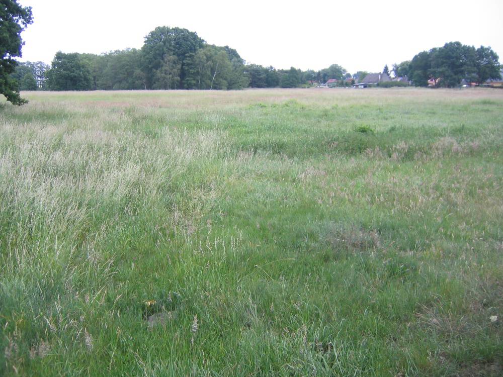 BB 16775 0145 01 Big